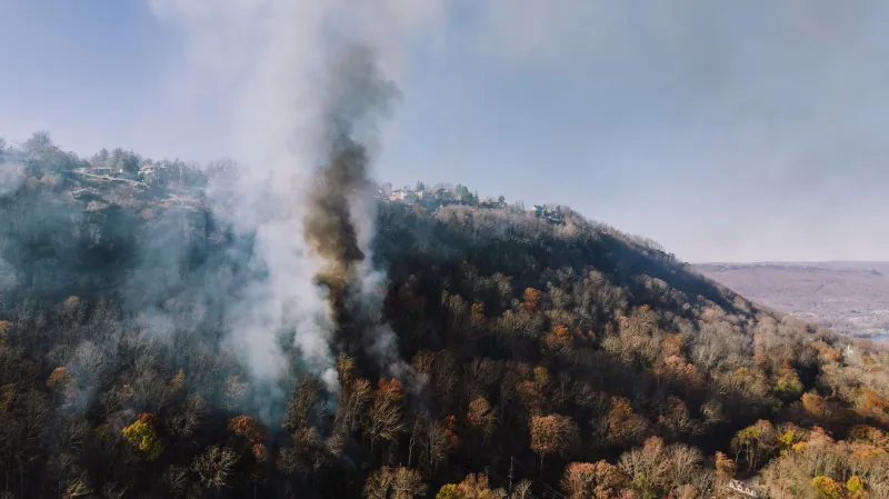 The Invisible Line Item: Why Extreme Weather Is Rewriting the Forestry Enterprise Risk Playbook