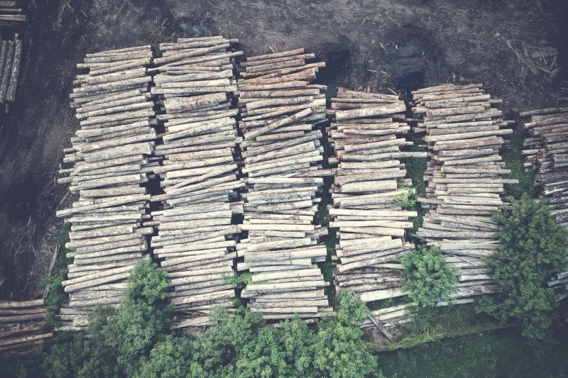Forest Acquisitions That Disappoint: Closing the Due Diligence Blind Spots Before the Deal Closes