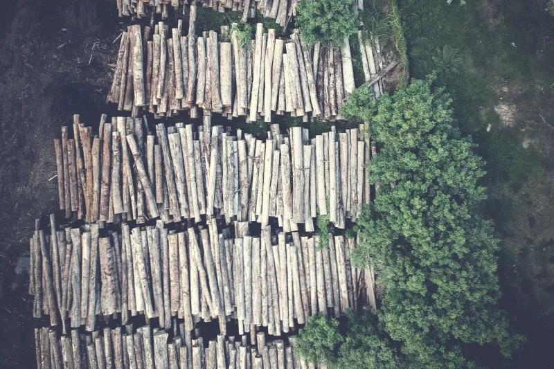 Dark Data, Diminished Returns: How Forest Inventory Blind Spots Are Quietly Draining Timber Enterprise Value