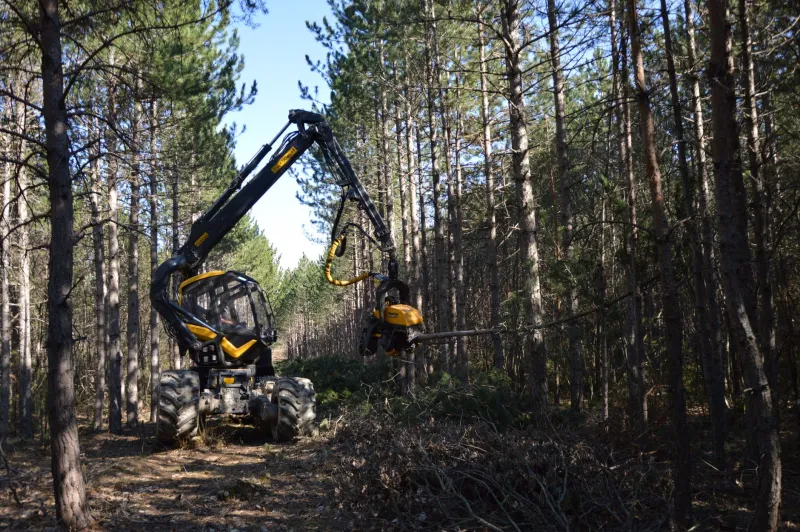 Where Have All the Foresters Gone? Confronting the Skilled Labor Shortage Threatening US Timber Operations