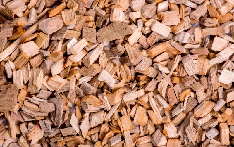 Wood Waste or Working Capital? How Timber Enterprises Are Rethinking Biomass as a Revenue Engine